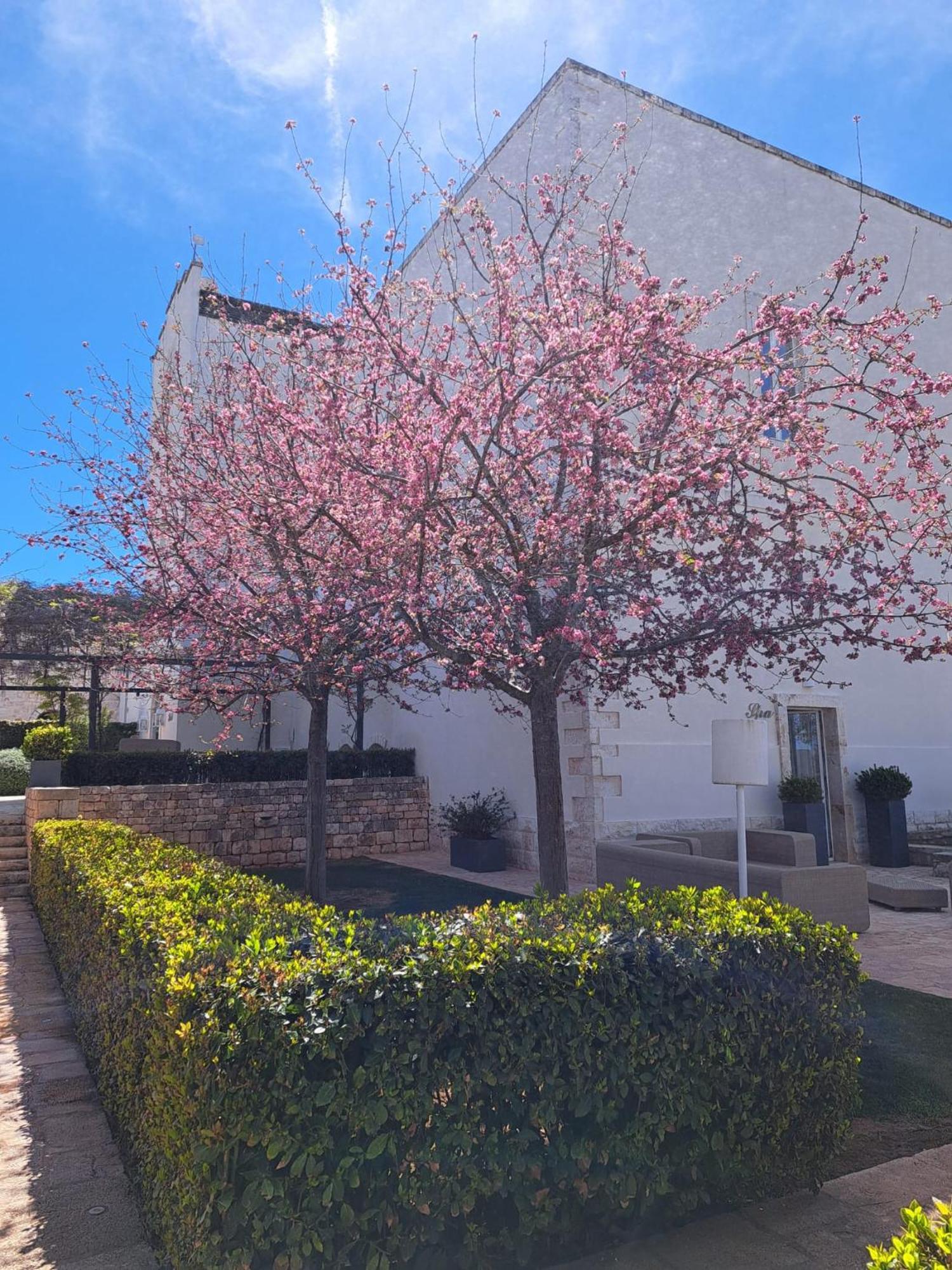 Relais Il Santissimo Hotel Turi Exterior photo